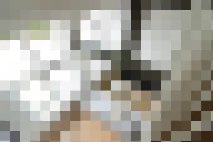 Hendrik van Tulderstraat 98 Tilburg thumbnail 13