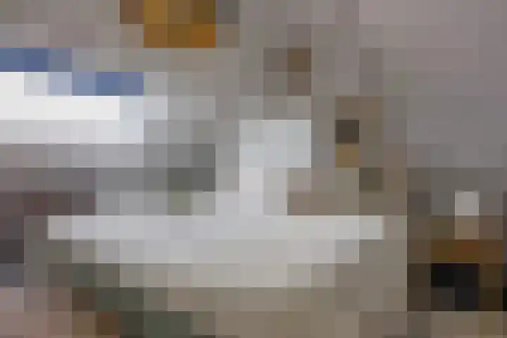 Hendrik van Veldekestraat 101 Heerlen thumbnail 24