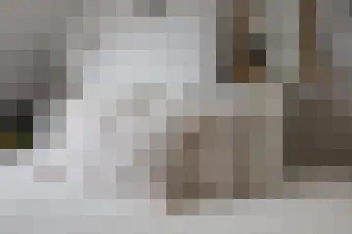 Hendrik van Veldekestraat 101 Heerlen thumbnail 27