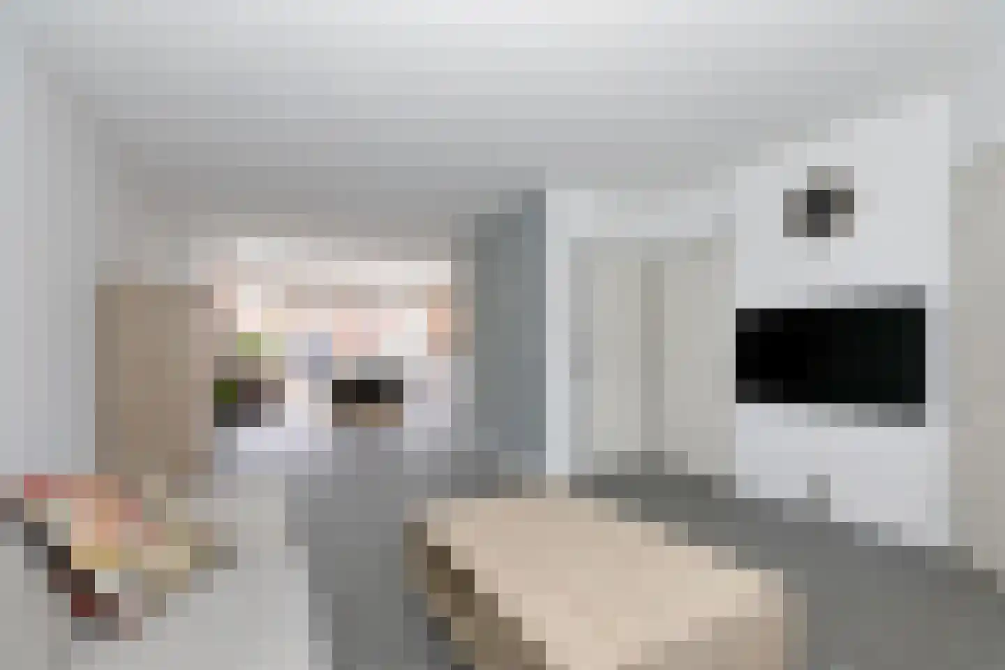 Hendrik van Veldekestraat 15 Voerendaal thumbnail 8