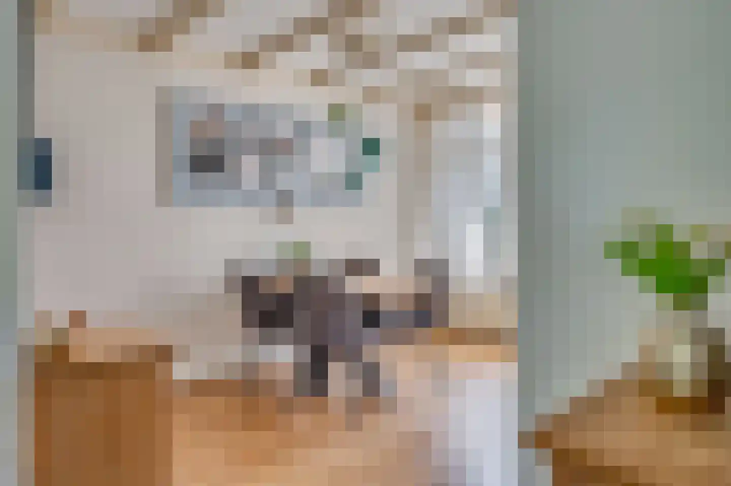Hendrik van Veldekestraat 2 Venlo thumbnail 11