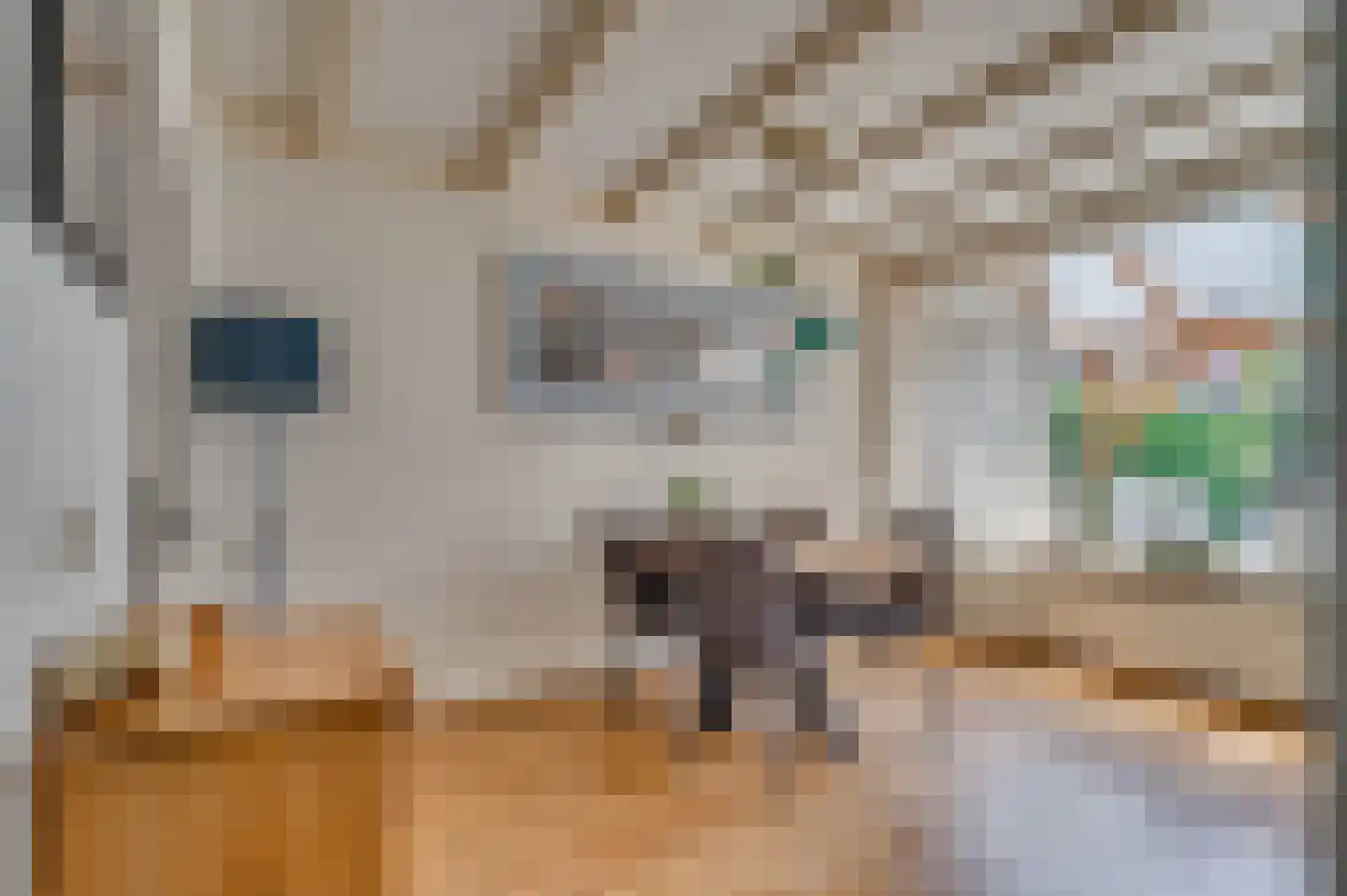 Hendrik van Veldekestraat 2 Venlo thumbnail 12