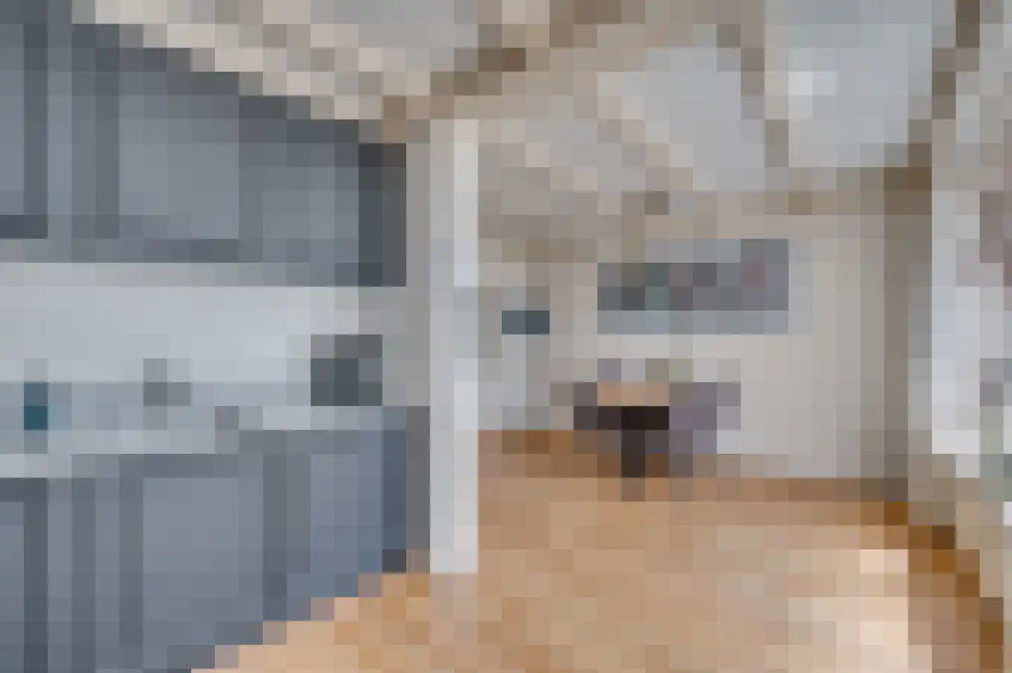 Hendrik van Veldekestraat 2 Venlo thumbnail 15