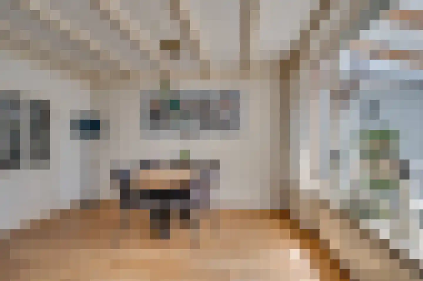 Hendrik van Veldekestraat 2 Venlo thumbnail 16