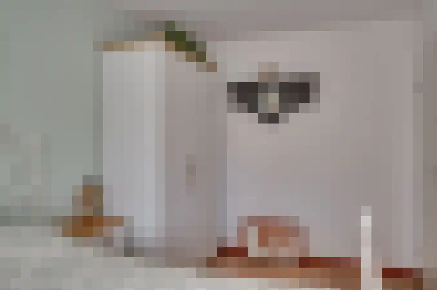 Hendrik van Veldekestraat 2 Venlo thumbnail 23