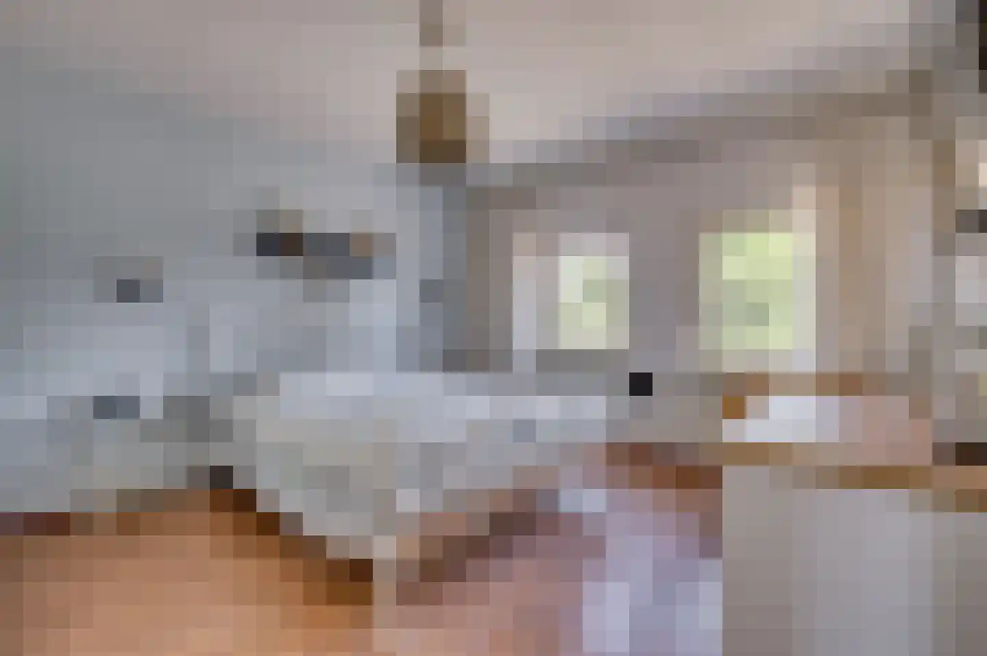 Hendrik van Veldekestraat 2 Venlo thumbnail 24