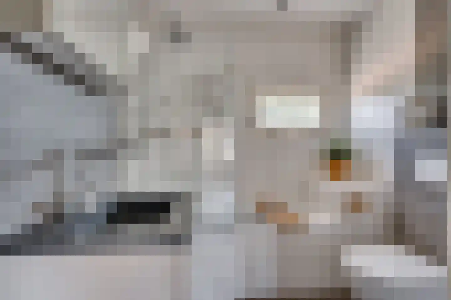 Hendrik van Veldekestraat 2 Venlo thumbnail 26
