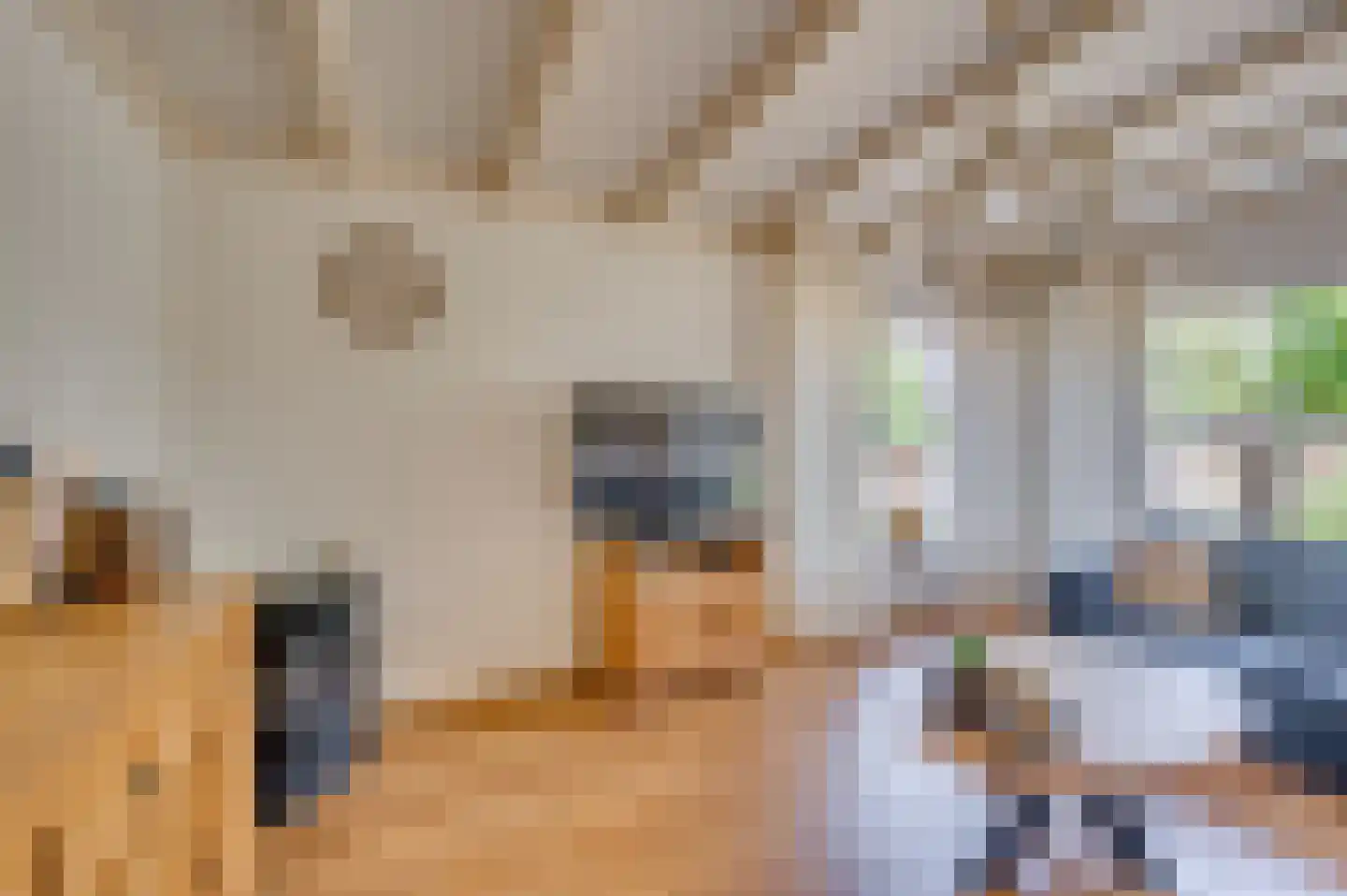 Hendrik van Veldekestraat 2 Venlo thumbnail 8