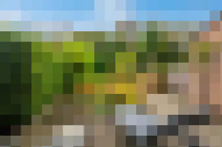 Hendrik van Veldekestraat 38 Voerendaal thumbnail 22