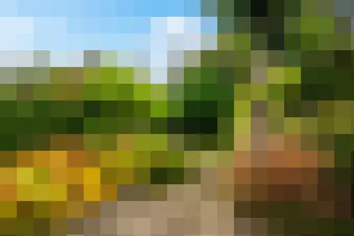 Hendrik van Veldekestraat 38 Voerendaal thumbnail 23