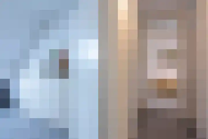 Hendrik van Veldekestraat 60 Voerendaal thumbnail 18