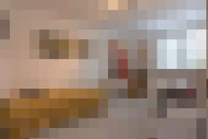 Hendrik van Veldekestraat 60 Voerendaal thumbnail 24