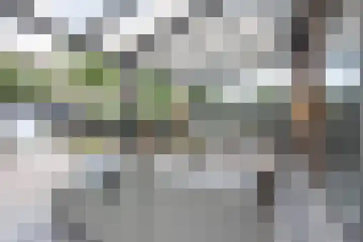 Hendrik van Veldekestraat 60 Voerendaal thumbnail 28