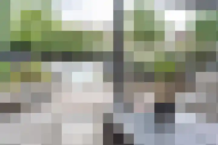 Hendrik van Veldekestraat 60 Voerendaal thumbnail 29