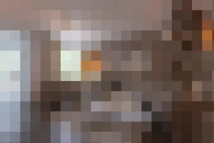 Hendrik van Veldekestraat 60 Voerendaal thumbnail 9