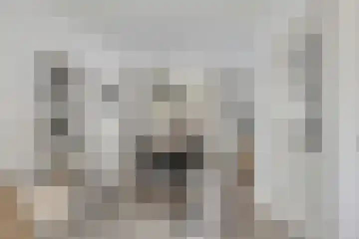 Hendrik van Veldekestraat 7 Helmond thumbnail 14