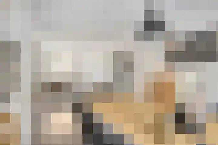 Hendrik van Veldekestraat 7 Helmond thumbnail 16