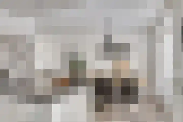 Hendrik van Veldekestraat 7 Helmond thumbnail 21