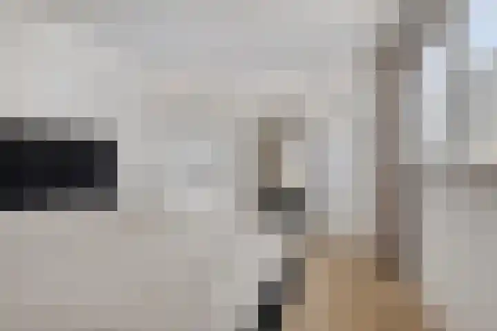 Hendrik van Veldekestraat 7 Helmond thumbnail 24