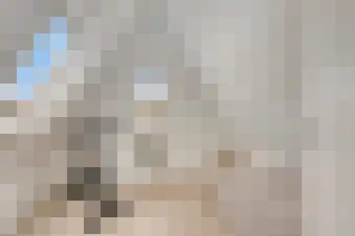 Hendrik van Veldekestraat 7 Helmond thumbnail 33