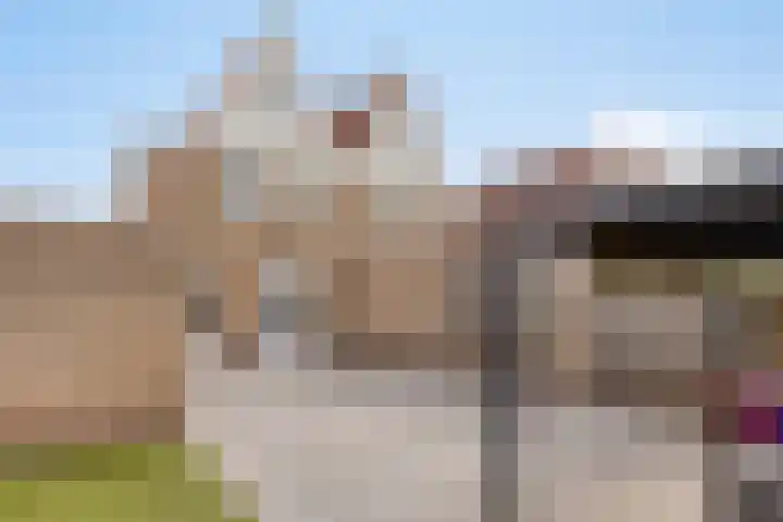 Hendrik van Veldekestraat 7 Helmond thumbnail 36