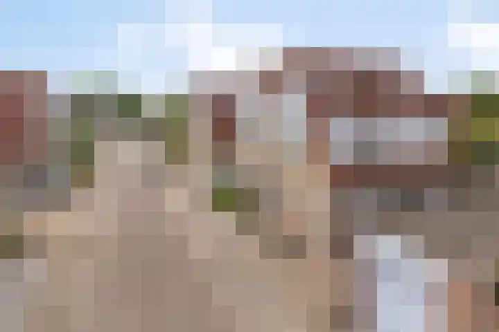Hendrik van Veldekestraat 7 Helmond thumbnail 40