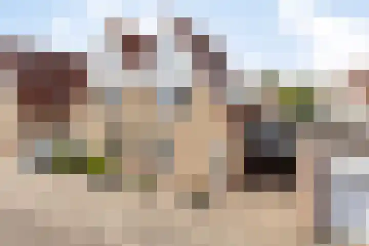 Hendrik van Veldekestraat 7 Helmond thumbnail 41
