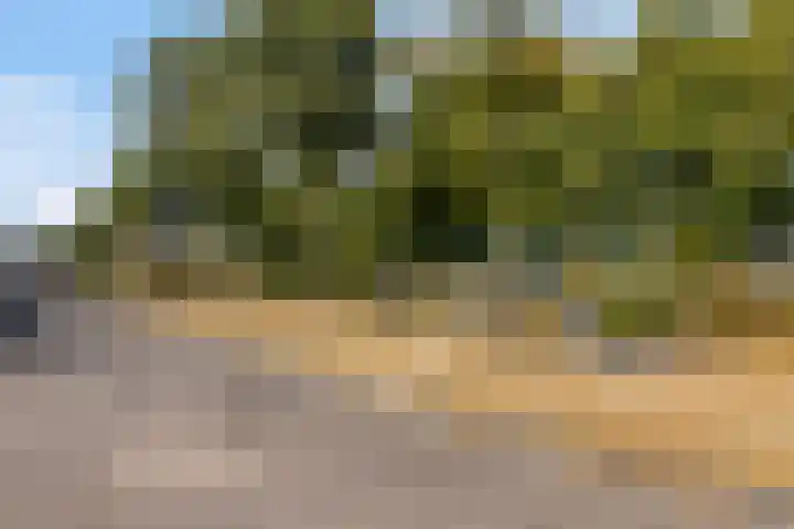 Hendrik van Veldekestraat 7 Helmond thumbnail 43