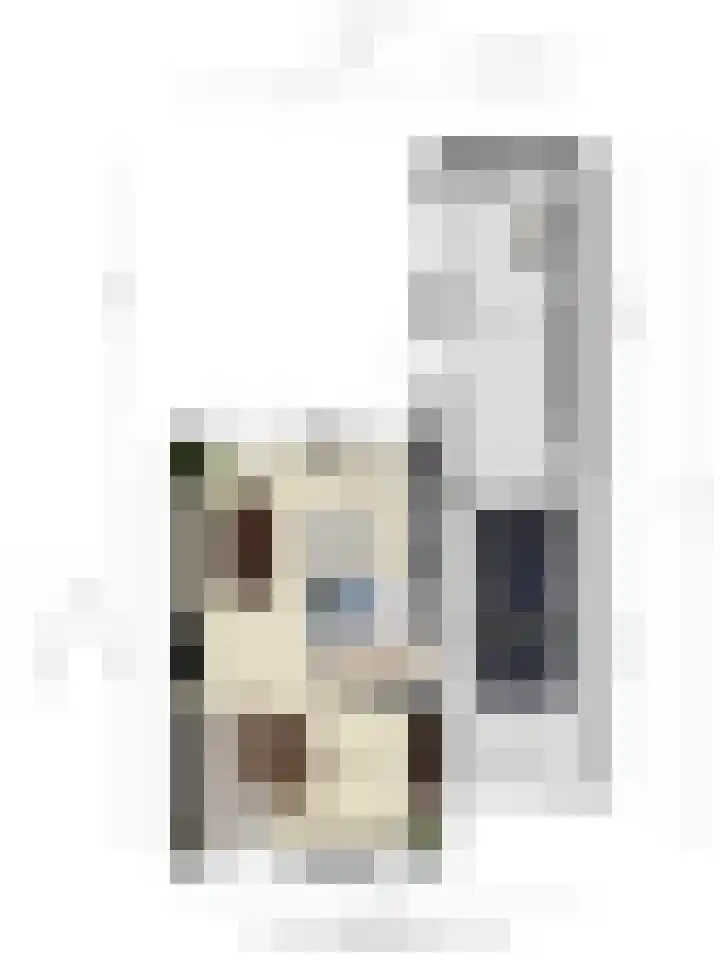 Hendrik van Veldekestraat 7 Helmond thumbnail 44