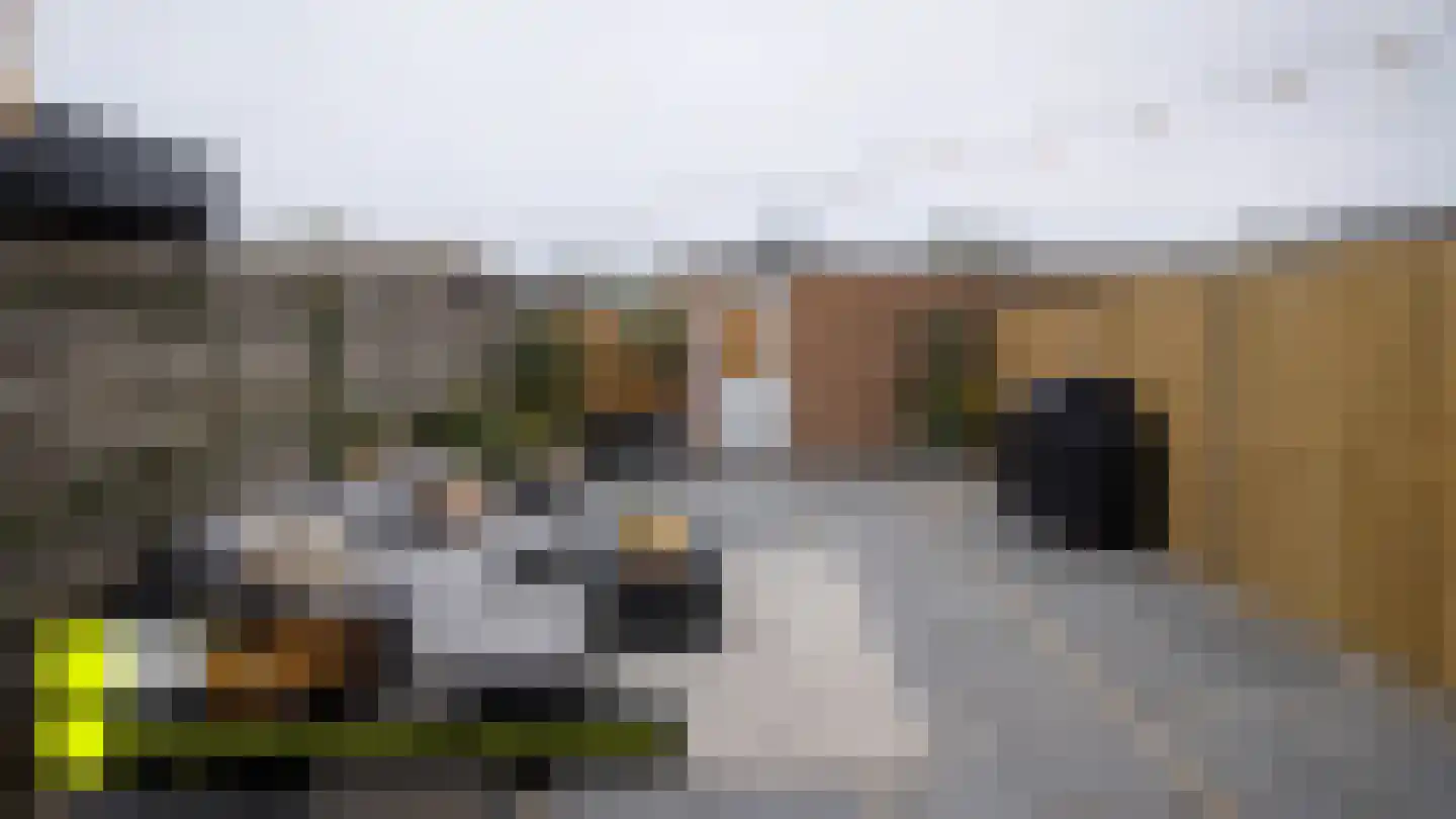 Hendrik van Veldekestraat 79 Heerlen thumbnail 44