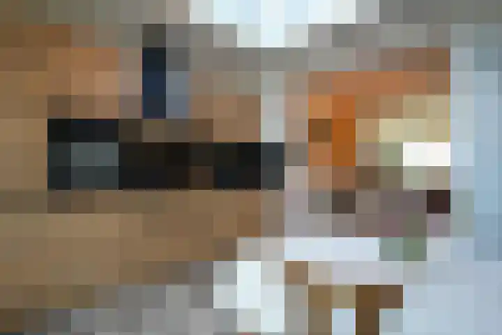 Hendrik van Veldekestraat 89 Heerlen thumbnail 14