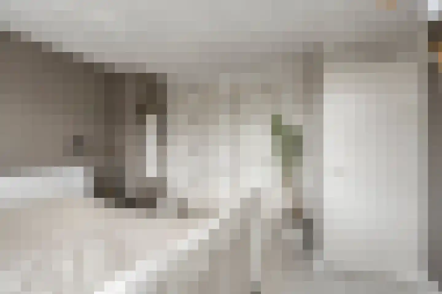 Hendrik van Viandenstraat 10 Oudewater thumbnail 17
