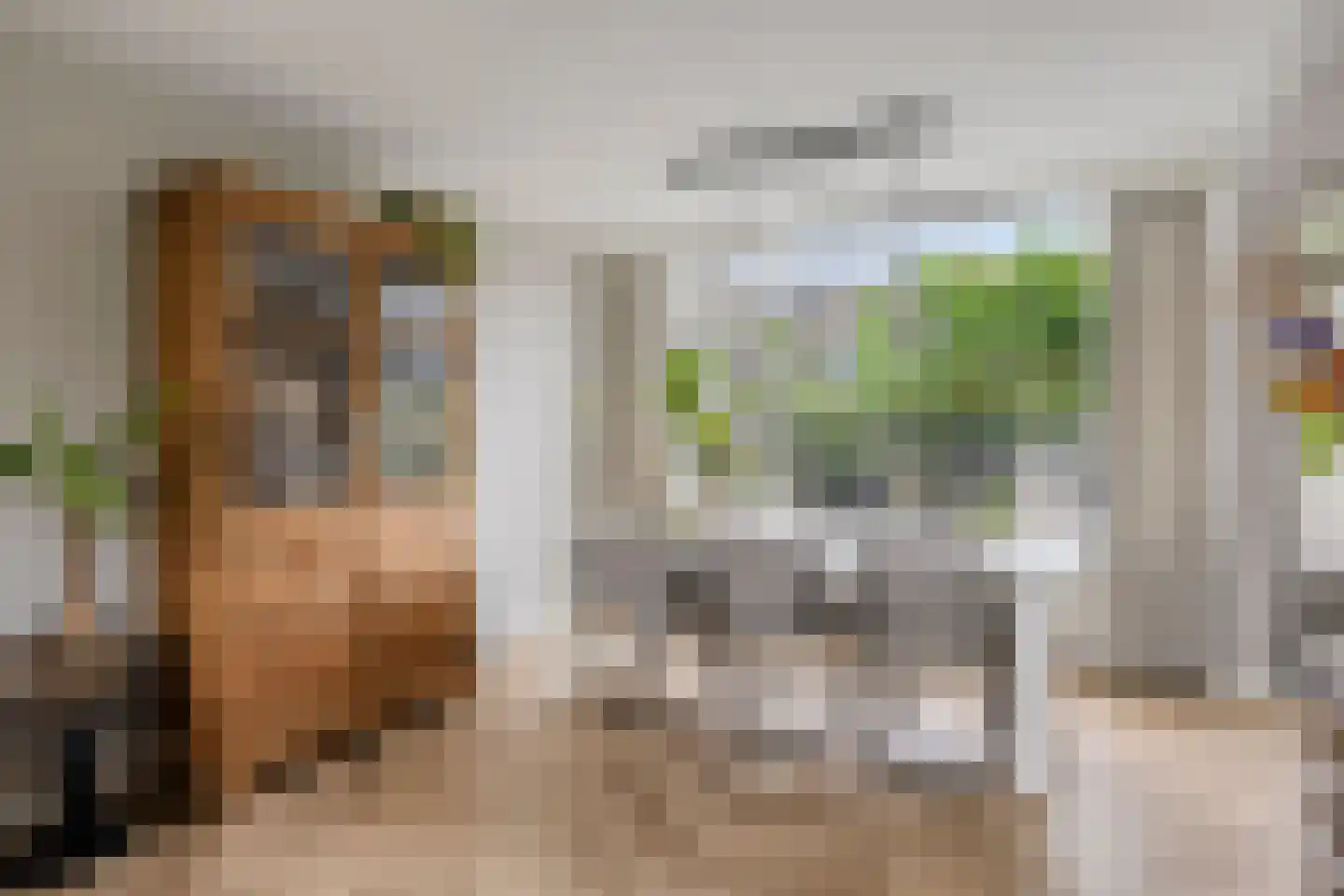 Hendrik van Viandenstraat 10 Oudewater thumbnail 8