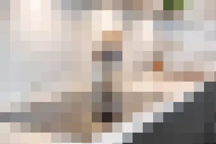 Hendrik van Viandenstraat 12 Oudewater thumbnail 10