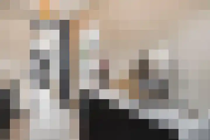 Hendrik van Viandenstraat 12 Oudewater thumbnail 12