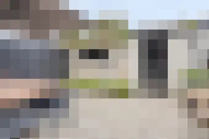 Hendrik van Viandenstraat 12 Oudewater thumbnail 13