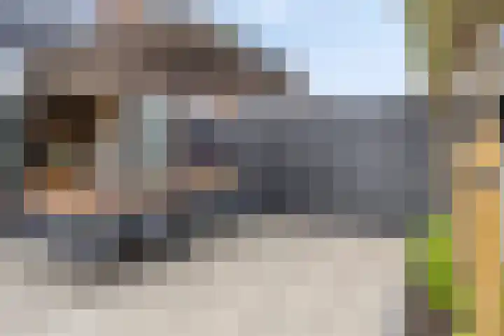 Hendrik van Viandenstraat 12 Oudewater thumbnail 14