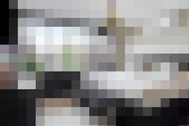 Hendrik van Viandenstraat 12 Oudewater thumbnail 18
