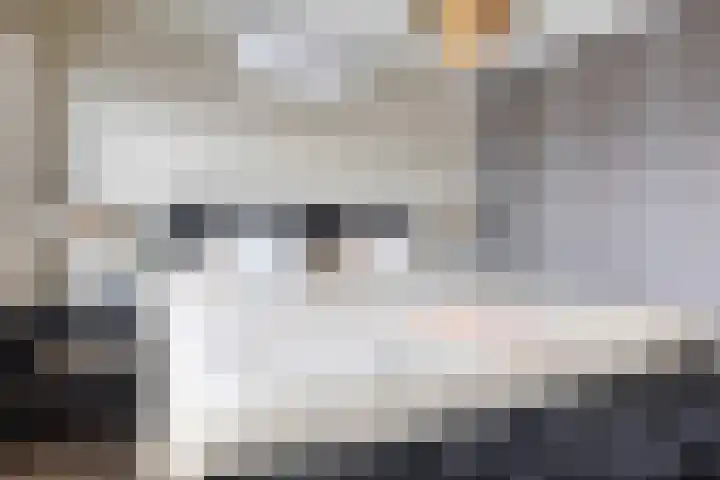 Hendrik van Viandenstraat 12 Oudewater thumbnail 19