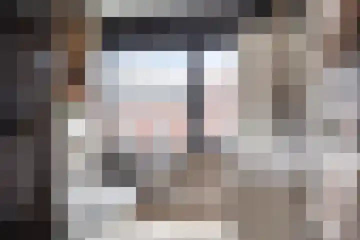 Hendrik van Viandenstraat 12 Oudewater thumbnail 20