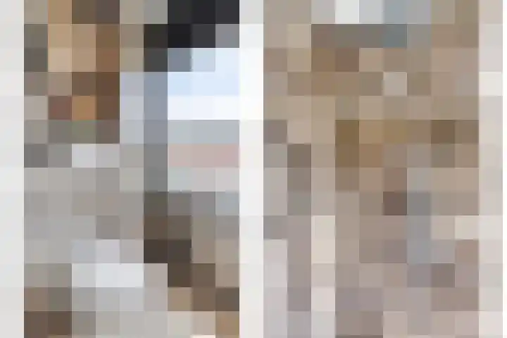Hendrik van Viandenstraat 12 Oudewater thumbnail 22