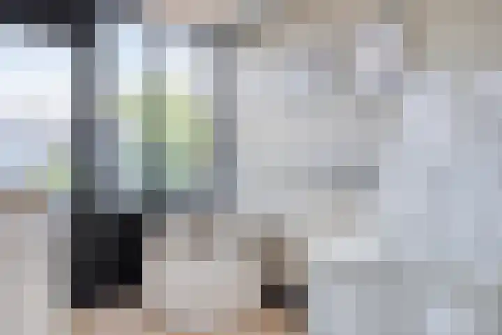 Hendrik van Viandenstraat 12 Oudewater thumbnail 23