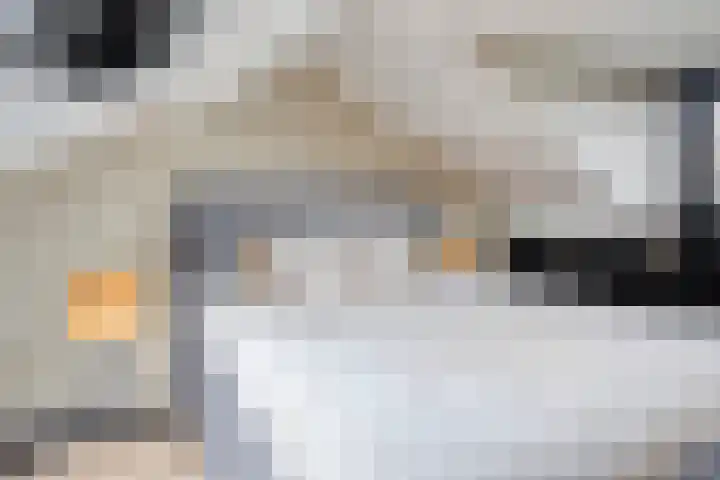 Hendrik van Viandenstraat 12 Oudewater thumbnail 27