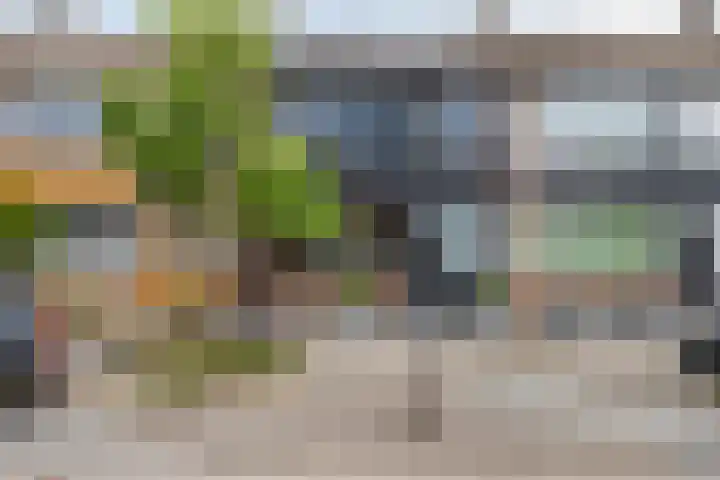 Hendrik van Viandenstraat 12 Oudewater thumbnail 28