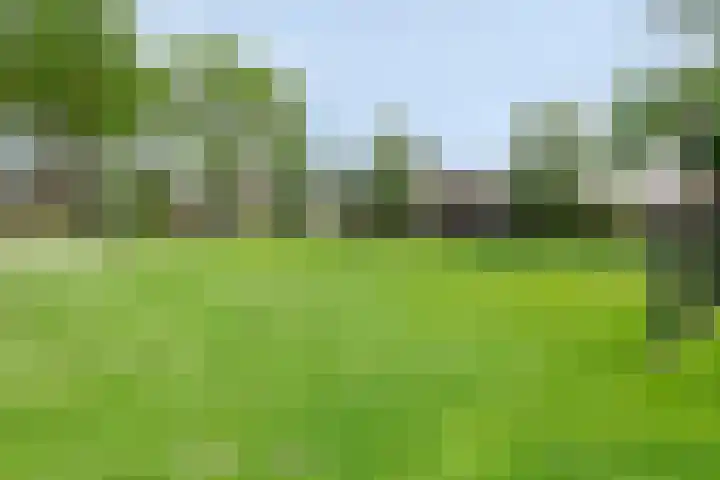 Hendrik van Viandenstraat 12 Oudewater thumbnail 32