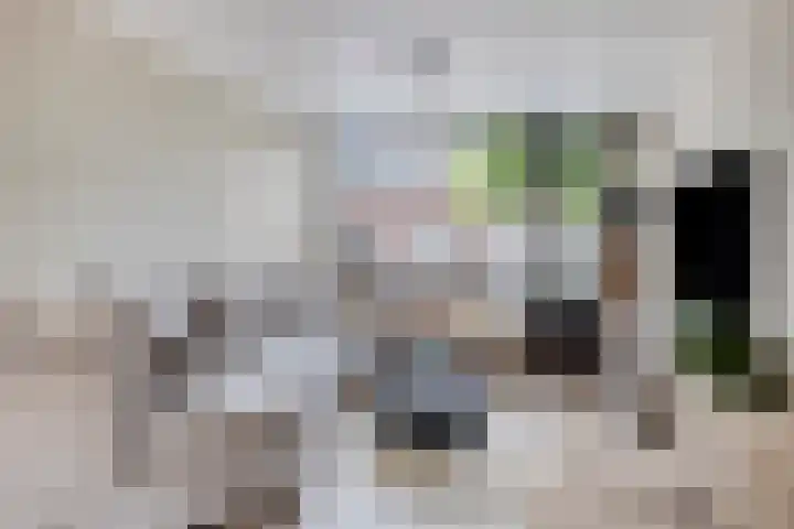 Hendrik van Viandenstraat 12 Oudewater thumbnail 4