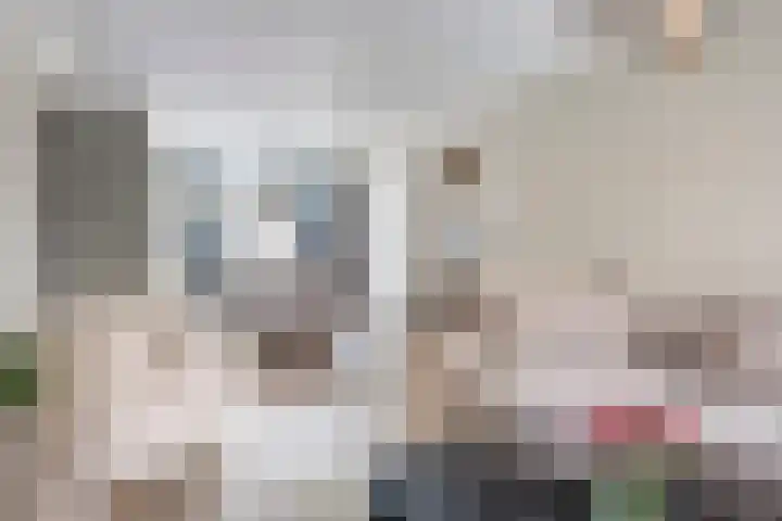 Hendrik van Viandenstraat 12 Oudewater thumbnail 5