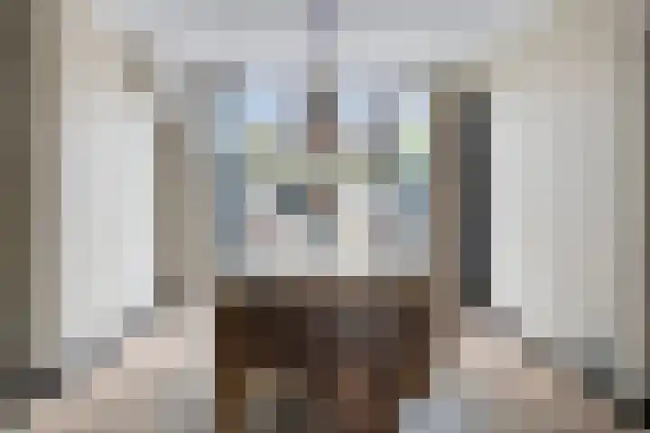 Hendrik van Viandenstraat 12 Oudewater thumbnail 6