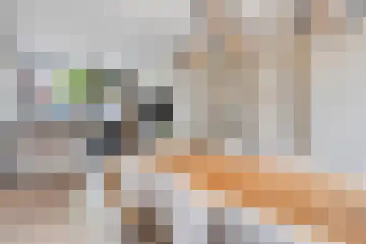 Hendrik van Viandenstraat 12 Oudewater thumbnail 7
