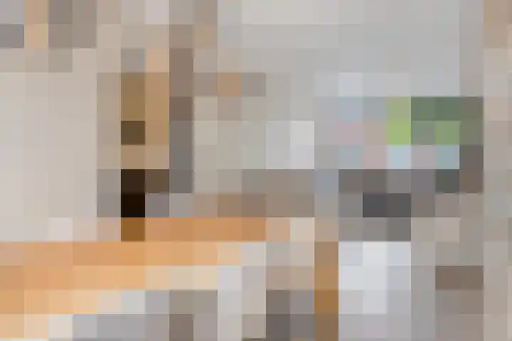 Hendrik van Viandenstraat 12 Oudewater thumbnail 8